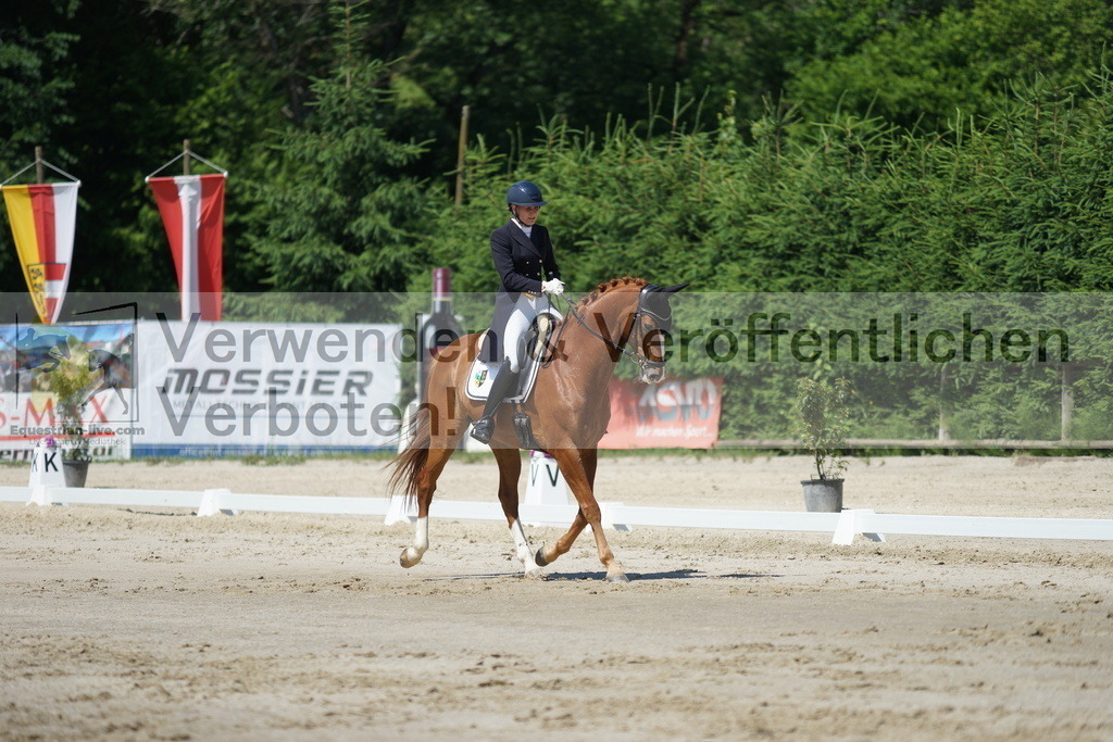 DSC03162 | equestrian-live-com