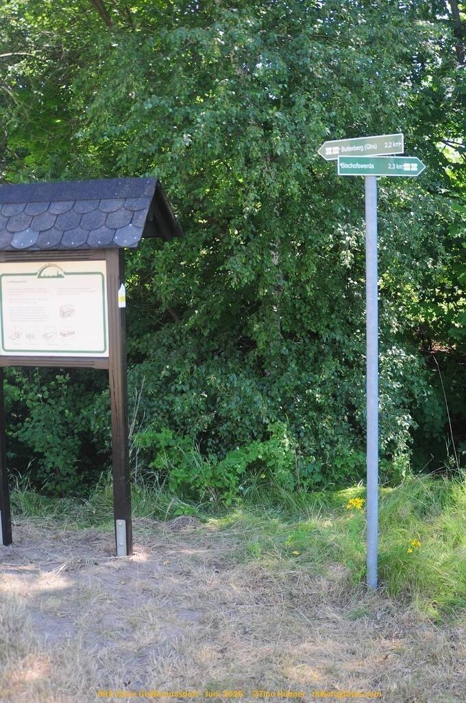 Geißmannsdorf-2026-Ortsbilder-467 | Geißmannsdorf bei Bischofswerda im Sommer 2026. Ein fotografischer Streifzug durch das Dorf Geißmannsdorf, mit Gebäuden, Straßen, Strohpuppen und geschmückten Vorgärten und Grundstücken anlässlich der 800-Jahr-Feier von Geißmannsdorf im Juni 2026 - Realisiert mit Pictrs.com