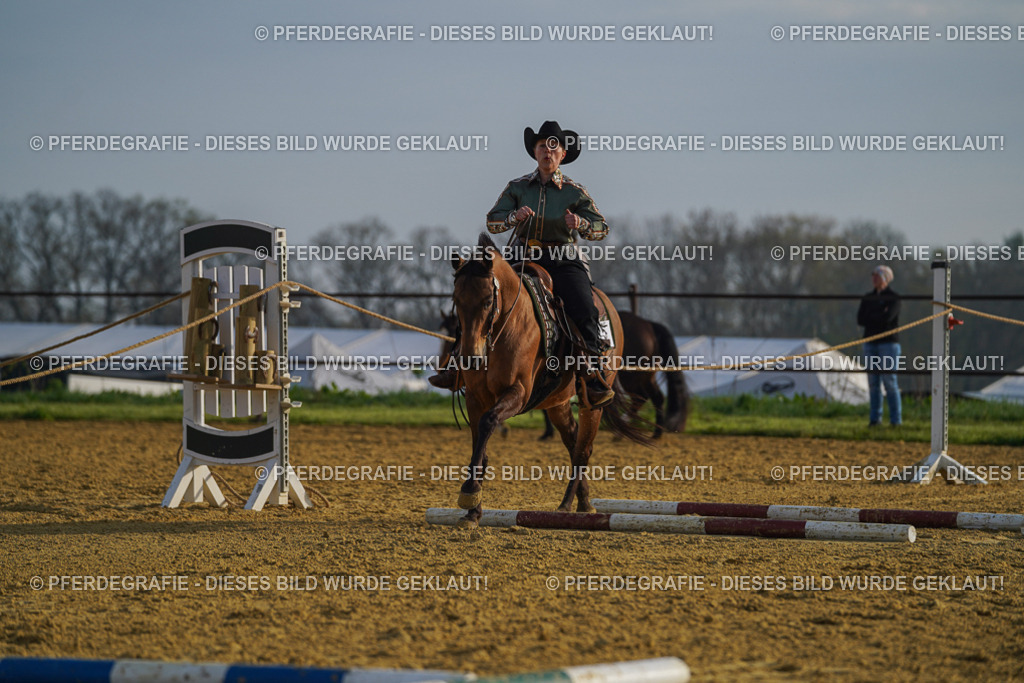 DSC00539 | Pferdegrafie