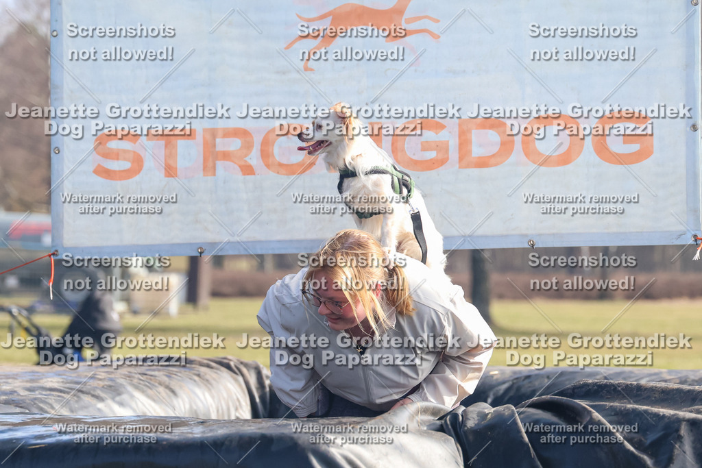 Dog Paparazzi - Strongdog North Mrz26-884 | Dog Paparazzi Jeanette Grottendiek Fotografie & Videografie - Realisiert mit Pictrs.com
