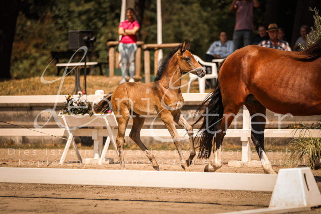 03.DoAB00006 | Leoni Ertmer Photography - Realisiert mit Pictrs.com