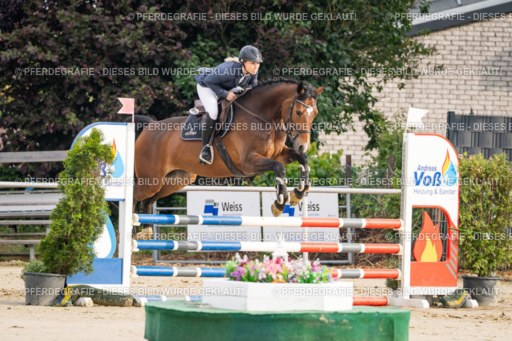 DSC08036 | Pferdegrafie