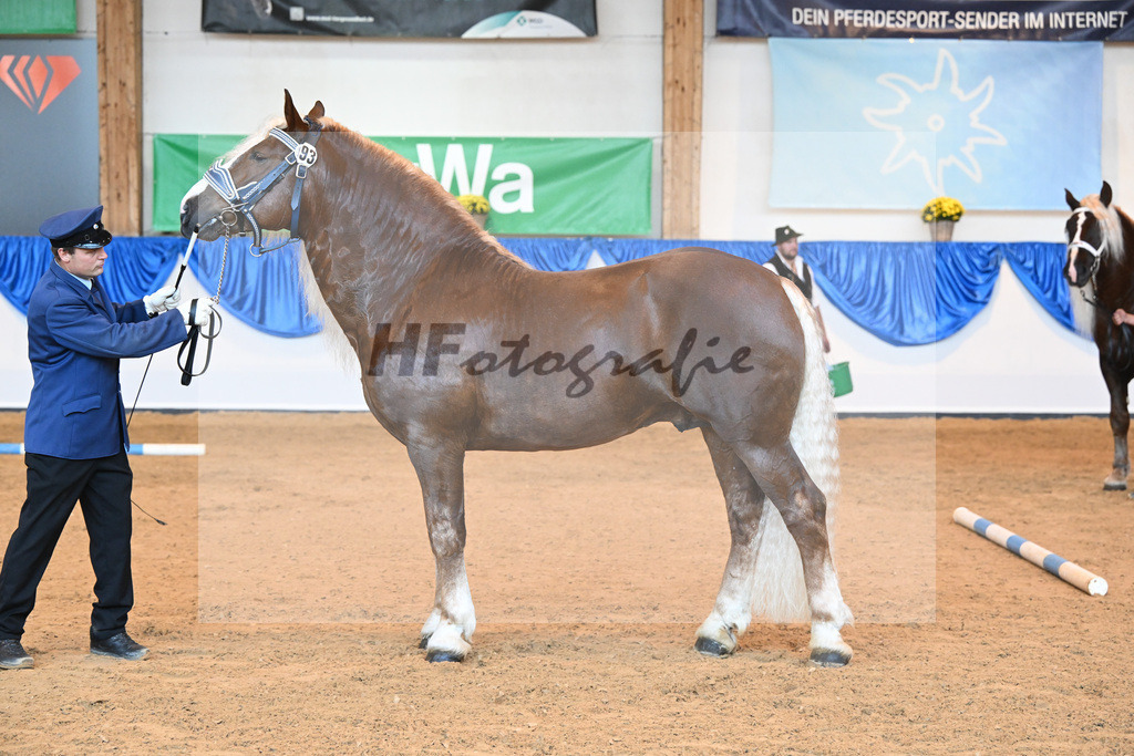 Kat-Nr. 93 Verondo_HLG Schwaiganger_53220620 | hf-fotografie - Realisiert mit Pictrs.com