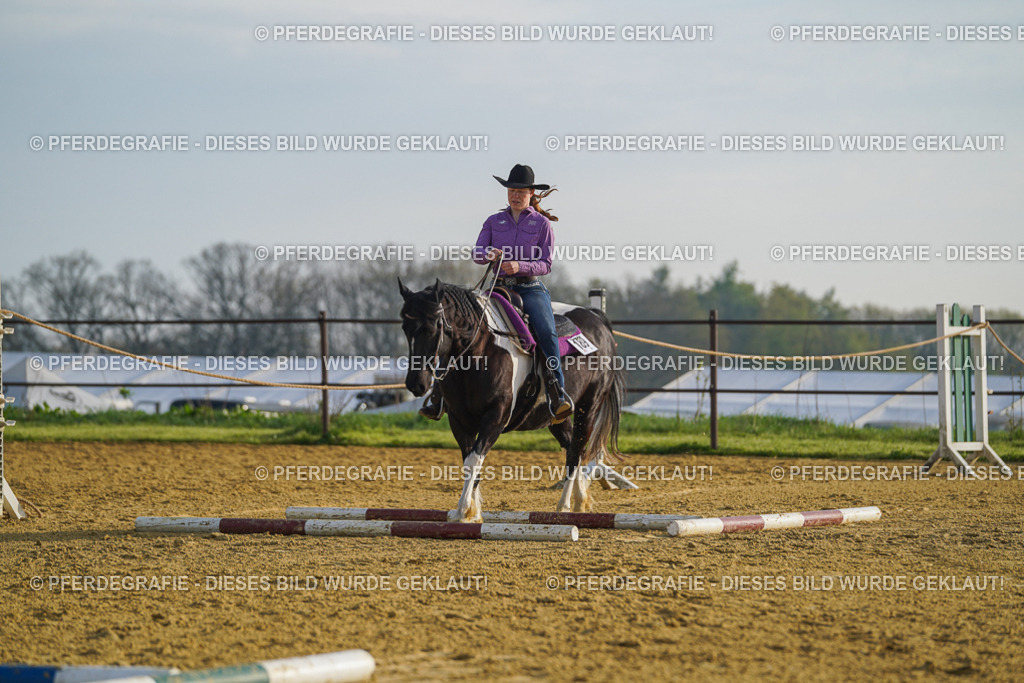 DSC00288 | Pferdegrafie