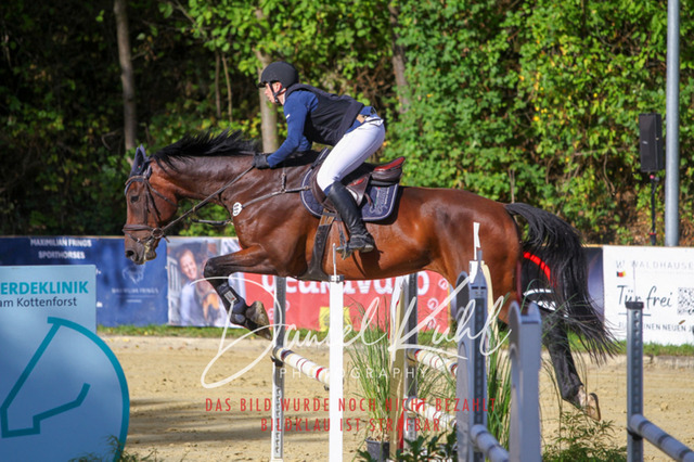 DKP42449 | Turniersportfotografie; Pferdefotografie; Dressurfotografie