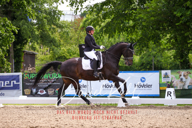 DKP41030 | Turnierfotos kaufen im Webshop von Daniel Kuhl Photography – entdecke professionelle Reitsportfotos aus Turnieren & Events. Hochwertige Turnierbilder online bestellen & sichern. Jetzt Fotos von Reitsportturnieren kaufen!