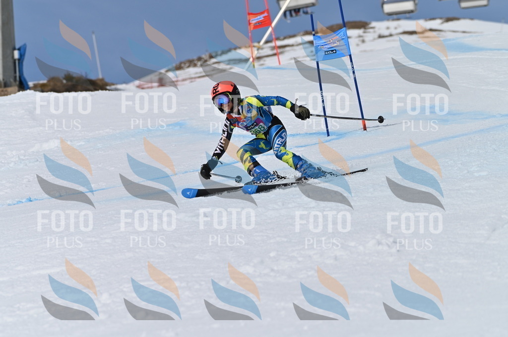 BGV_7289 | holidayphoto