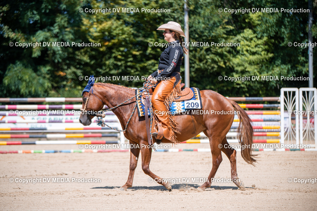 ZS1_1158 | dv-media-shop - Realisiert mit Pictrs.com