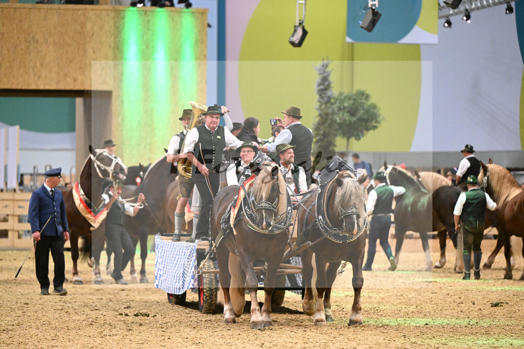 Schauprogramm_Gruppenbild_1261200 | hf-fotografie - Realisiert mit Pictrs.com