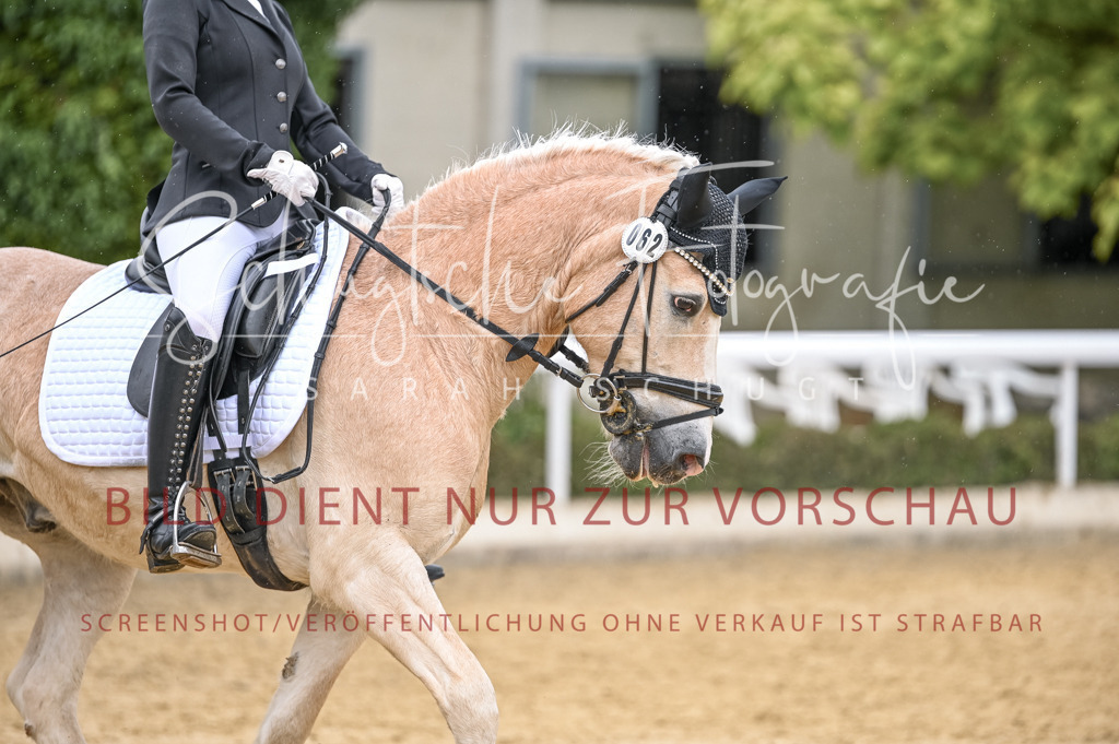 Schugtsche-Aluta25-41.Amat-Dressurprf.A_-521 | Schugtsche Fotografie - Realizzato con Pictrs.com