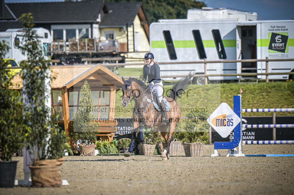 DOS_1579 | Entdecke hochwertige Reitturnierfotos von Foto Oger. Professionell, emotional und authentisch – jetzt Lieblingsmomente im Shop bestellen.Deutschlandweite Turnierfotografie. - Realisiert mit Pictrs.com