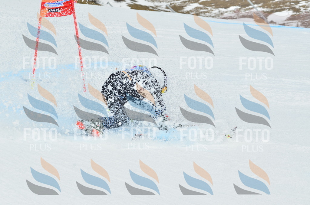 _ELE2769 | holidayphoto