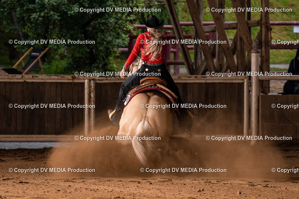 Erbach Tag 2-1035 | dv-media-shop - Realisiert mit Pictrs.com