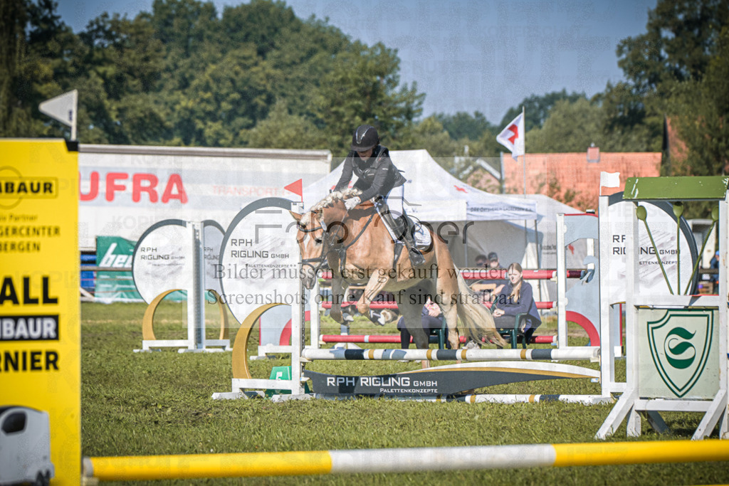 DOS_0307 | Entdecke hochwertige Reitturnierfotos von Foto Oger. Professionell, emotional und authentisch – jetzt Lieblingsmomente im Shop bestellen.Deutschlandweite Turnierfotografie. - Realisiert mit Pictrs.com