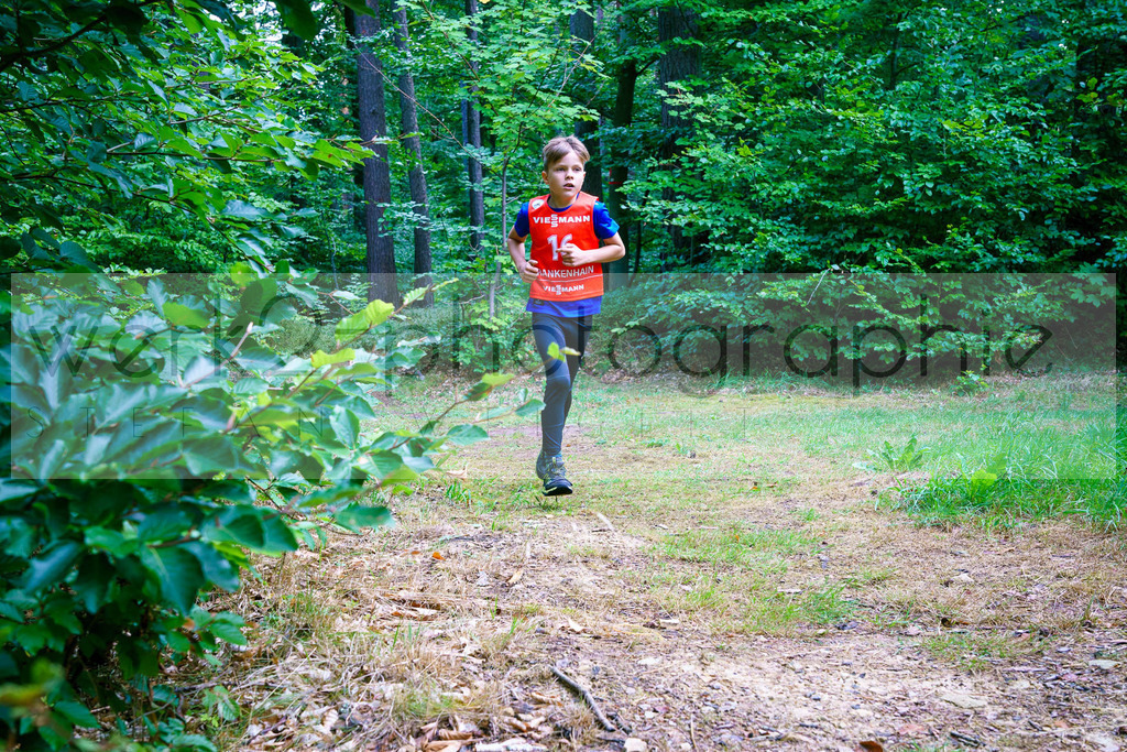 Rolf-Schumann-Gedächtnislauf | Frankenhain, 30.08.2025