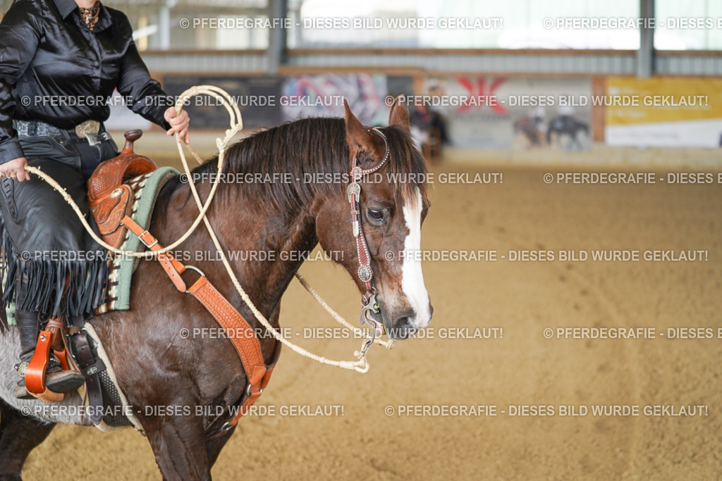 DSC02420 | Pferdegrafie