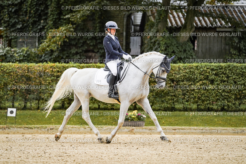 DSC06573 | Pferdegrafie