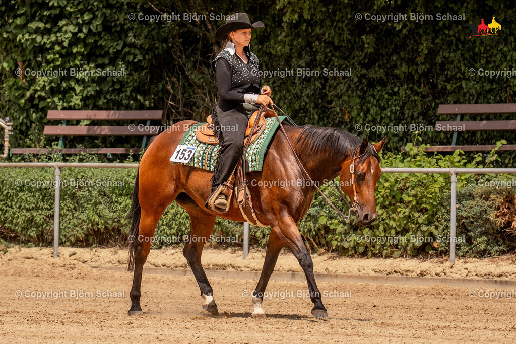 LMS06911 | BS-foto