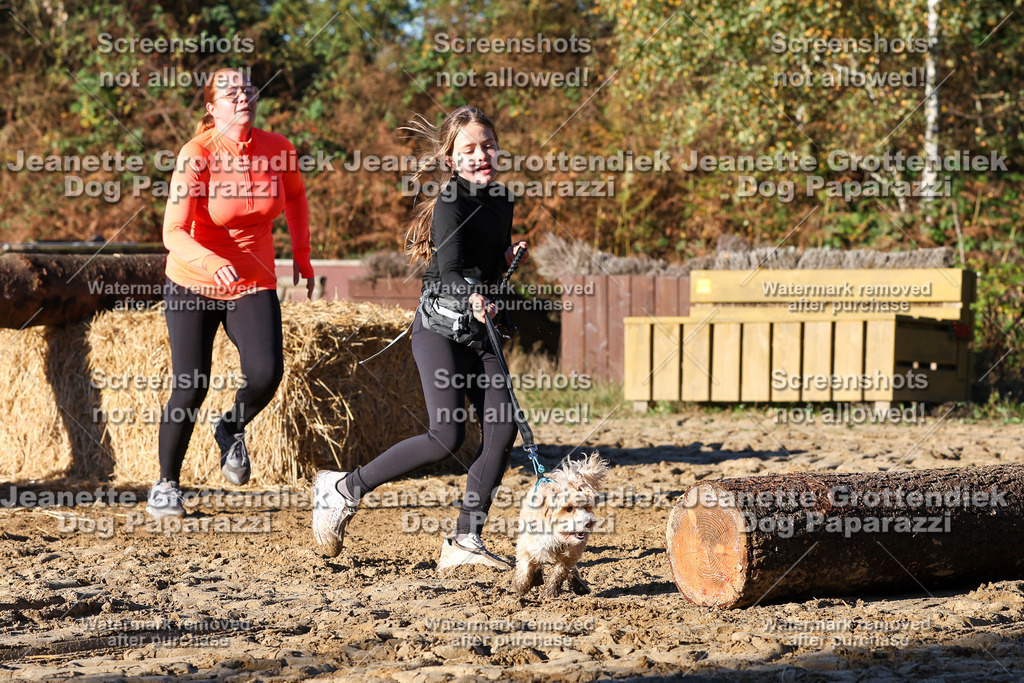 Dog Paparazzi - Strongdog 10-25-1409 | Dog Paparazzi Jeanette Grottendiek Fotografie & Videografie - Realisiert mit Pictrs.com