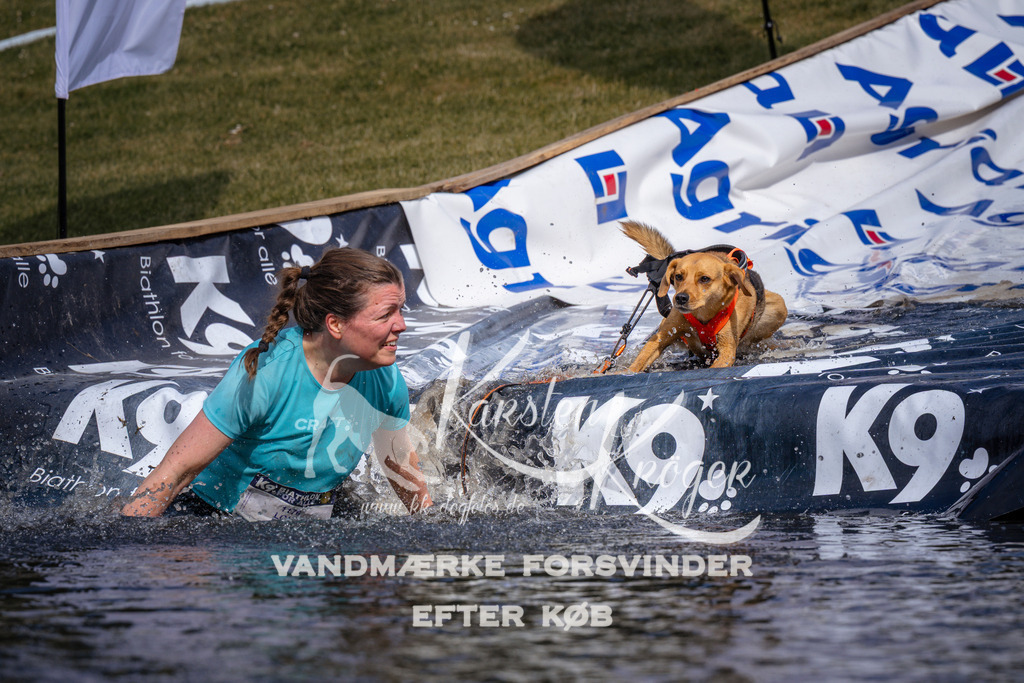 _ZZ905560901 | kk-dogfotos