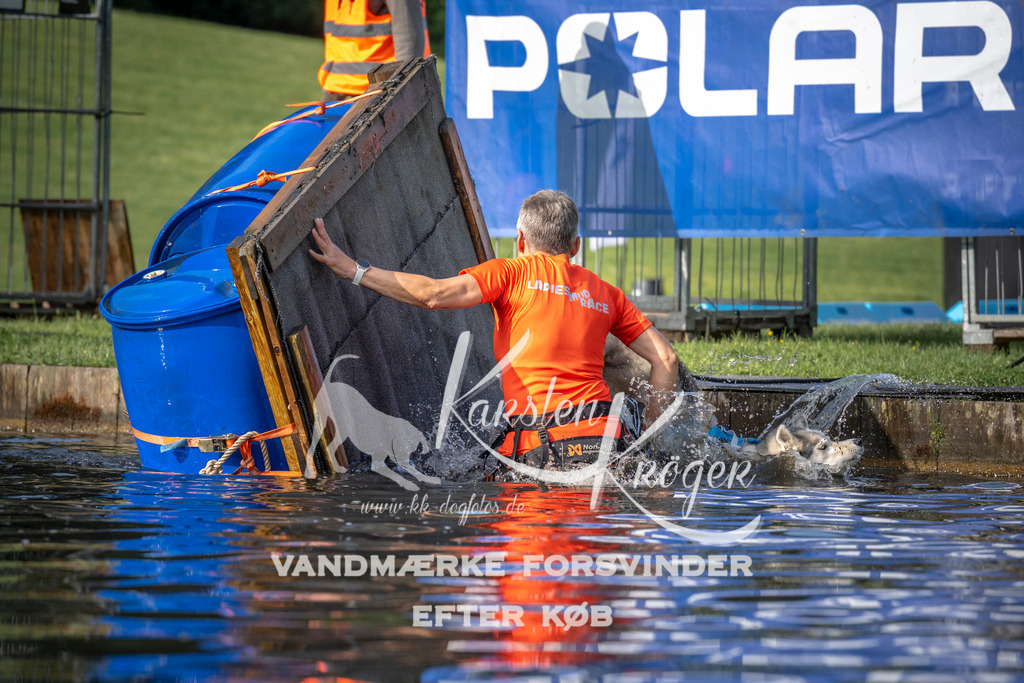 _ZZ939880710 | kk-dogfotos