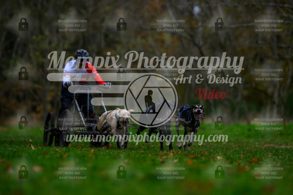MompixPhotography_Bischwiller24_SA_Kart-14 | PayLife