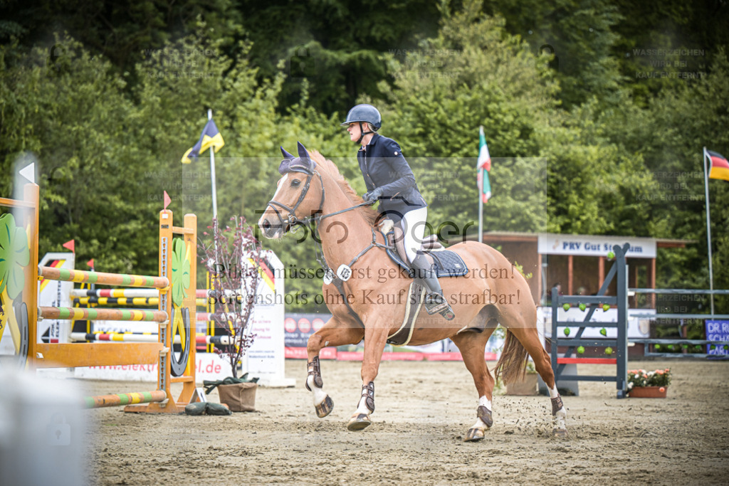 DOS_7911 | Entdecke hochwertige Reitturnierfotos von Foto Oger. Professionell, emotional und authentisch – jetzt Lieblingsmomente im Shop bestellen. - Realisiert mit Pictrs.com