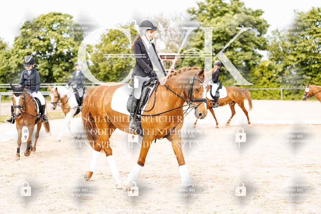 CK904511 | Turnierfotografie Pferdefotografie Trier Rheinland-Pfalz Pferdesport Reitsport Tierfotografie Sportfotografie Pferdevideo Pferdevideografie Equestrianvideography equestrianphotography  - Realisiert mit Pictrs.com