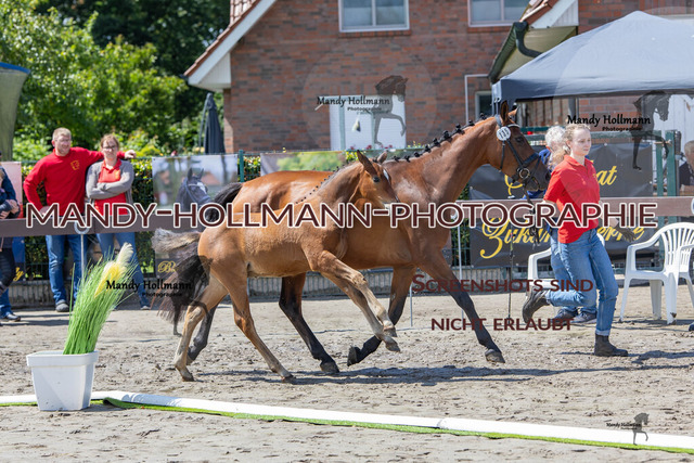 0P2A6806-2 | mandyhollmannphotographie