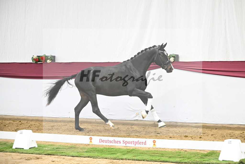 Kat-Nr. 18 Escaneno x Fuerstenball_Stefan Holtwiesche_47250503 | hf-fotografie - Realizzato con Pictrs.com