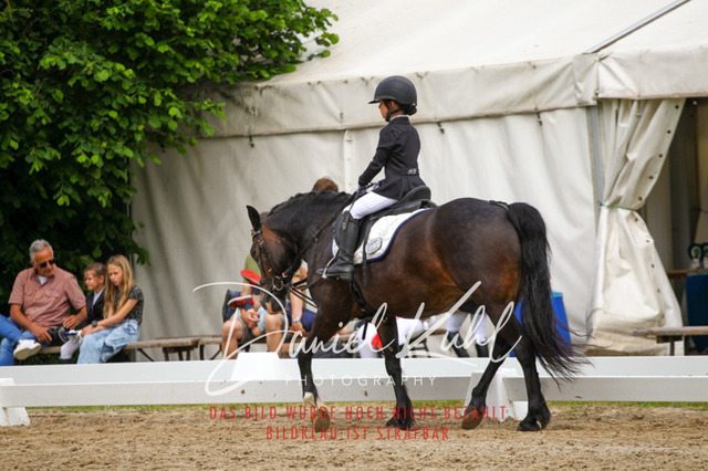 DKP47497 | Turnierfotos kaufen im Webshop von Daniel Kuhl Photography – entdecke professionelle Reitsportfotos aus Turnieren & Events. Hochwertige Turnierbilder online bestellen & sichern. Jetzt Fotos von Reitsportturnieren kaufen!
