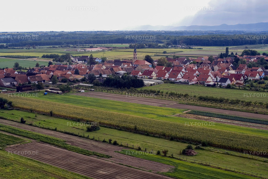 Luftbild: Ortsansicht von Nordosten in Erlenbach bei Kandel im Bundesland Rheinland-Pfalz in Deutschland. Foto: IMG_7706.jpg vom 02.09.2007 durch Werner Riehm/FLY-FOTO.de