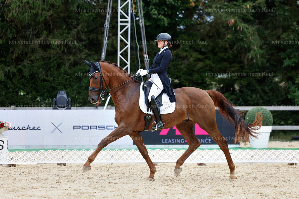 11-141-Dressur S___-Marixx-1817 | working equitationturnier fotograf videograf stoibphotography marixx film working equitation deutschland reitsport turnierfotografie eventfotografie equestrian events