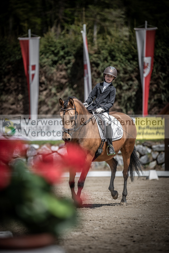DSC_0842 | equestrian-live-com