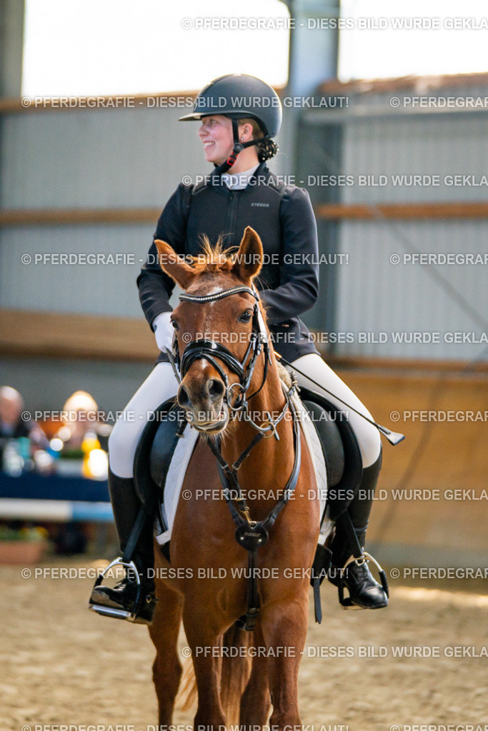 DSC01548 | Pferdegrafie