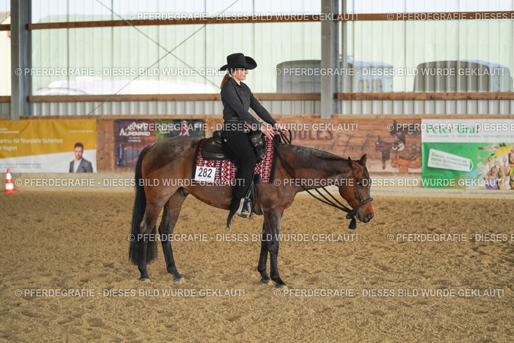 DSC09119 | Pferdegrafie