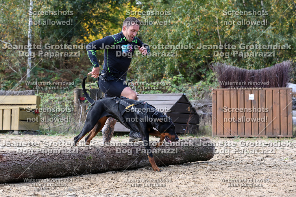 Dog Paparazzi - Strongdog 10-25-5437 | Dog Paparazzi Jeanette Grottendiek Fotografie & Videografie - Realisiert mit Pictrs.com