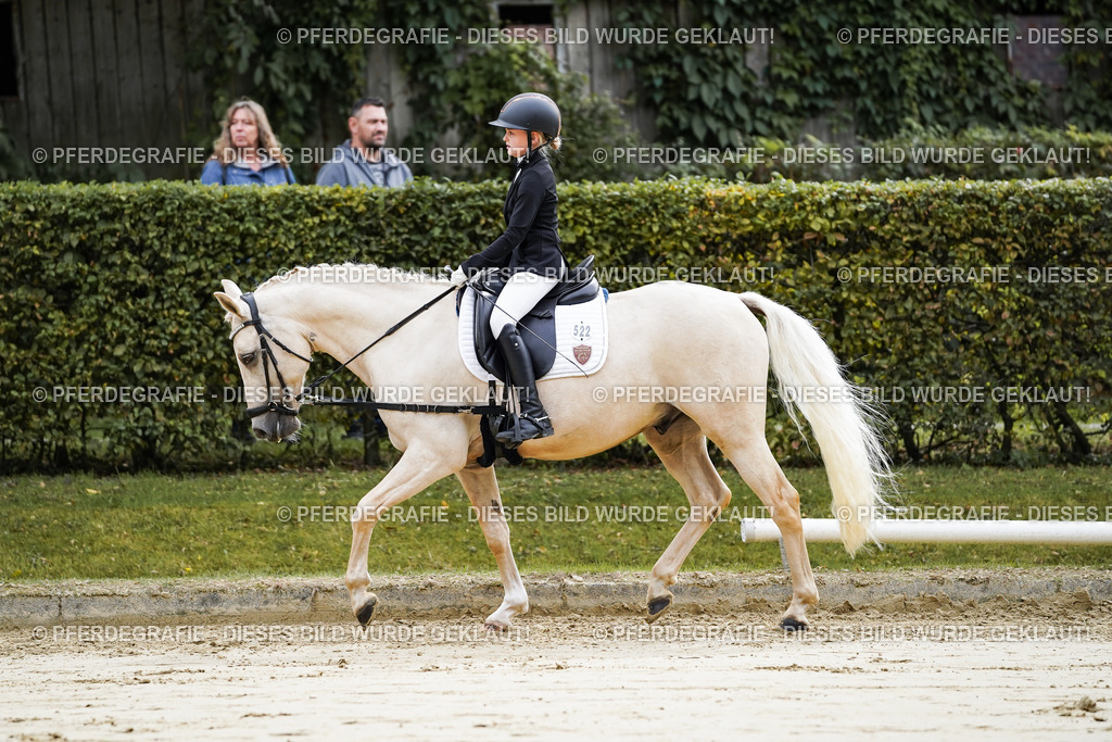 DSC05155 | Pferdegrafie