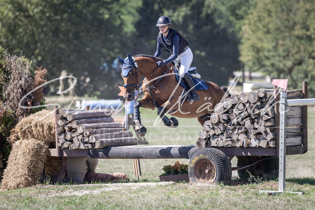 20260906-_3LI3883 | Tierfotografie Pferde, Hunde, Katzen, Haustiere.
Turnierfotografie Reitturniere, Reiten, Springreiten, Dressur in Hanau, dem Main-Kinzig-Kreis und dem Rhein-Main- Gebiet um Frankfurt