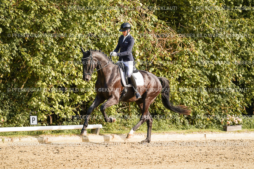 DSC04801 | Pferdegrafie