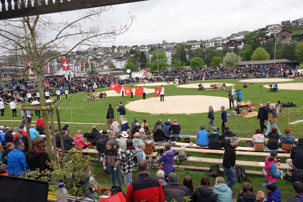 DSC03261 | Schwingen - Realisiert mit Pictrs.com