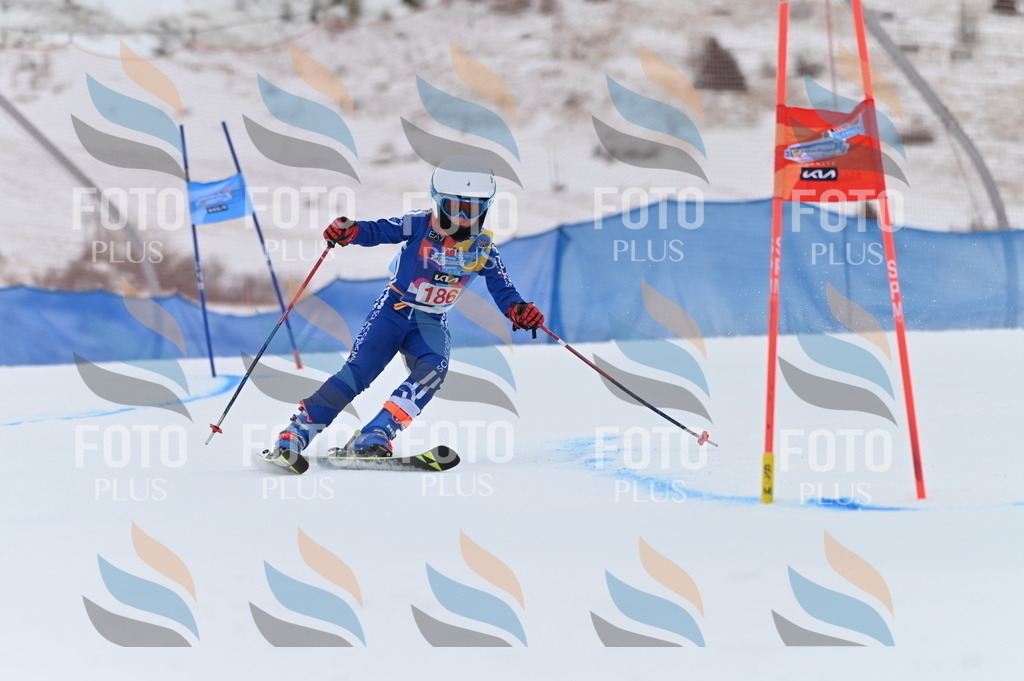 BGV_1239 | holidayphoto