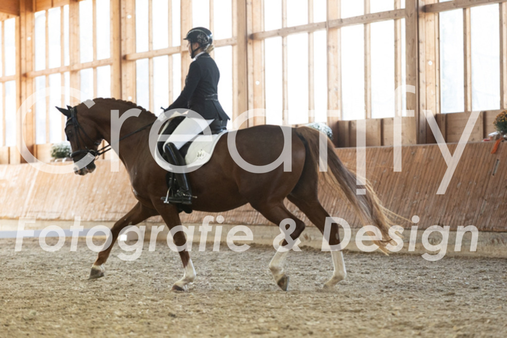 IMG_3544 | Creatify Fotografie