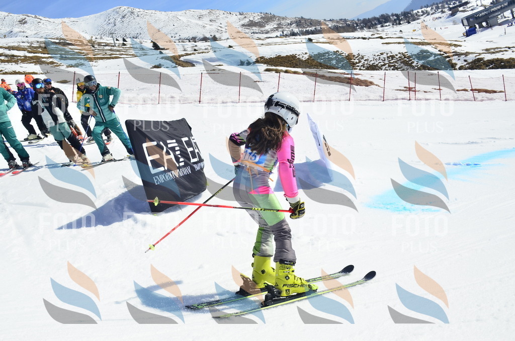 _ELE0686 | holidayphoto