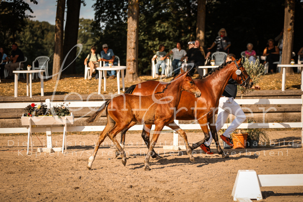 11.DoRP00121 | Leoni Ertmer Photography - Realisiert mit Pictrs.com