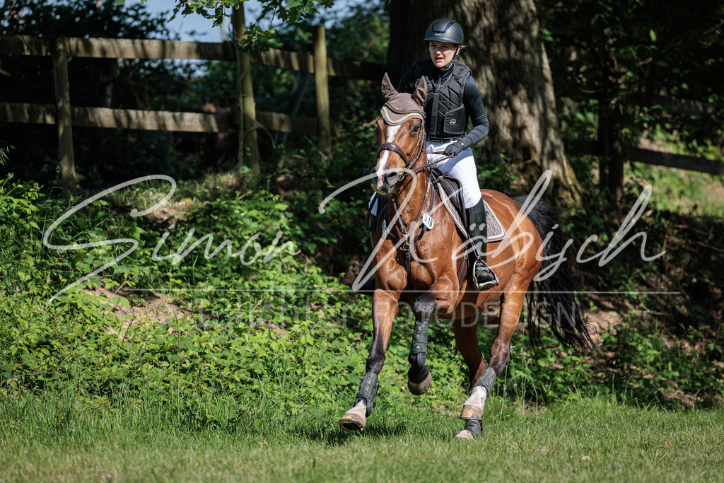 20260523-_3LI6822 | Tierfotografie Pferde, Hunde, Katzen, Haustiere.
Turnierfotografie Reitturniere, Reiten, Springreiten, Dressur in Hanau, dem Main-Kinzig-Kreis und dem Rhein-Main- Gebiet um Frankfurt