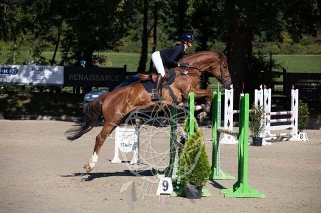 2B4A0419 | pixelfaenger - Realisiert mit Pictrs.com