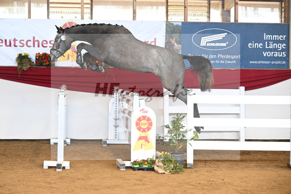 Kat-Nr. 21 Cleopatra v. Crack_Borst_16250678 | hf-fotografie - Realisiert mit Pictrs.com
