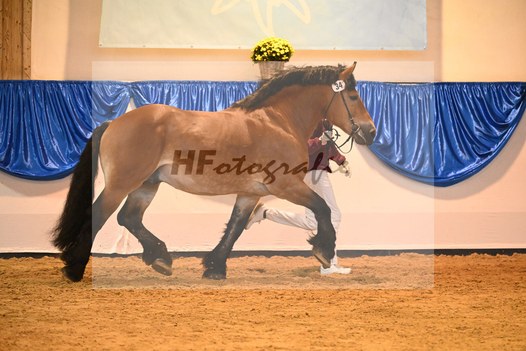 Kat-Nr. 34 Adel_Kaufmann_53221186 | hf-fotografie - Realizzato con Pictrs.com