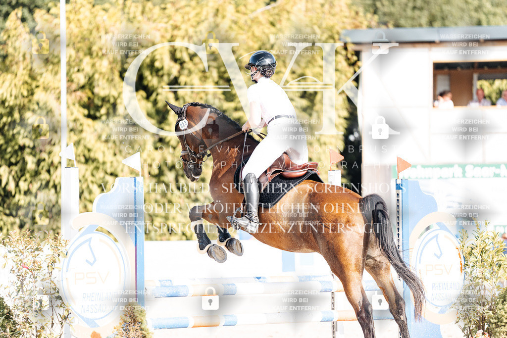 CK909461 | Turnierfotografie Pferdefotografie Trier Rheinland-Pfalz Pferdesport Reitsport Tierfotografie Sportfotografie Pferdevideo Pferdevideografie Equestrianvideography equestrianphotography  - Realisiert mit Pictrs.com